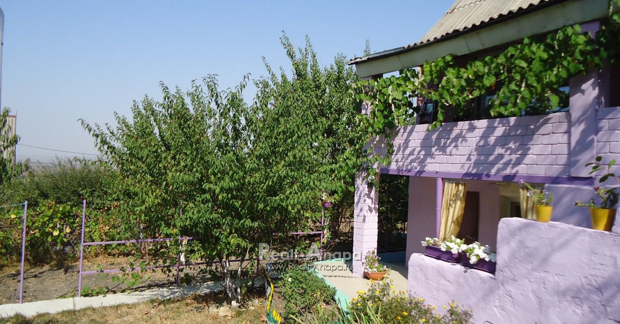 Купить Дачу В Анапе Фото Авито